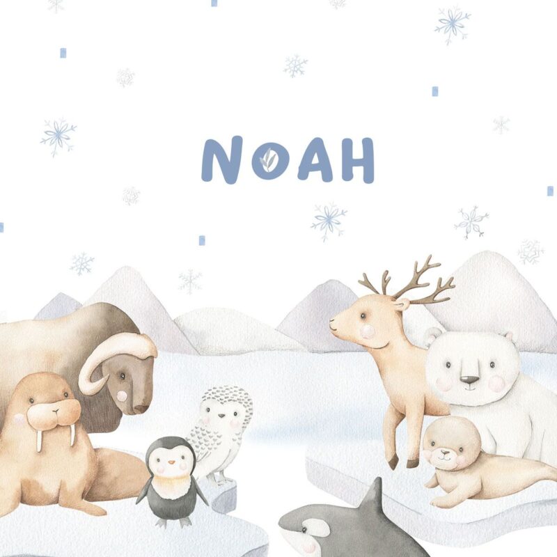 papier-peint-animaux-antarctique