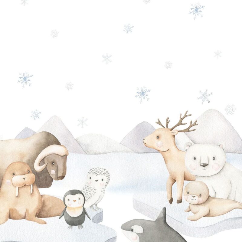 papier-peint-animaux-pole-nord