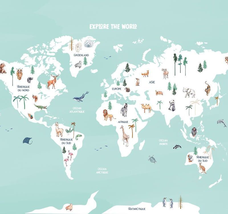 papier-peint-carte-du-monde-panoramique