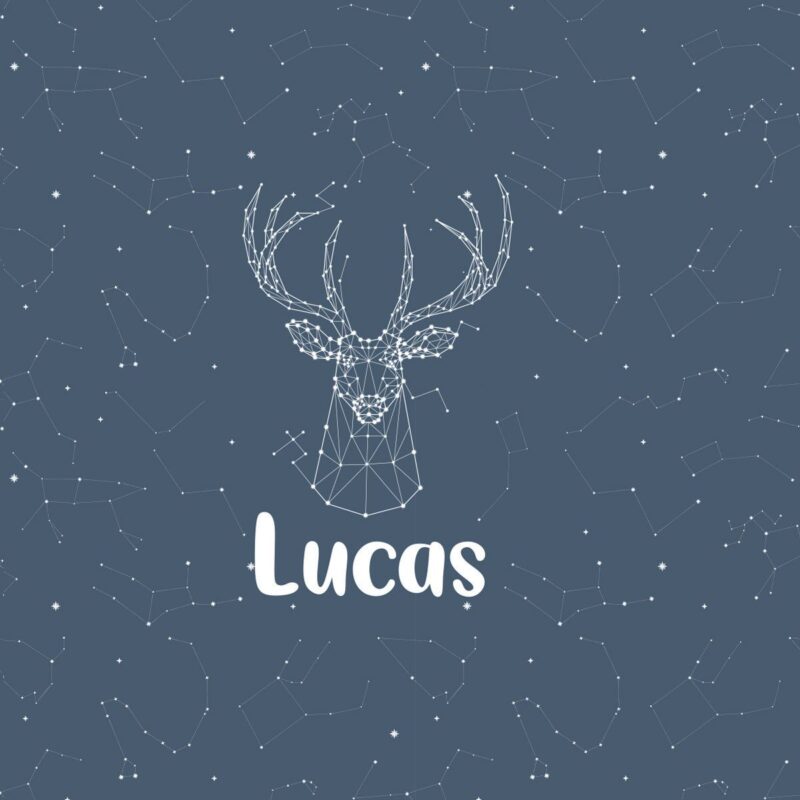 Papier Peint Constellations personnalisé – Image 2