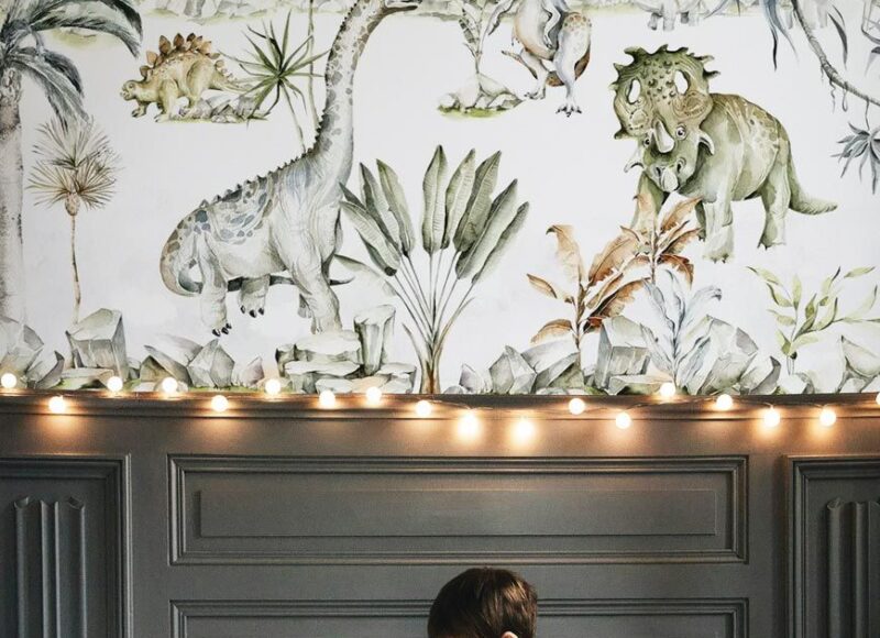 papier-peint-dinosaures-garcon