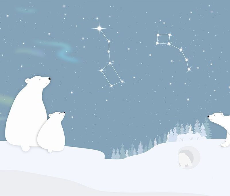 Papier peint ours polaire astronomie pour enfant – Image 3