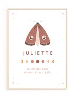 poster-de-naissance-papillon