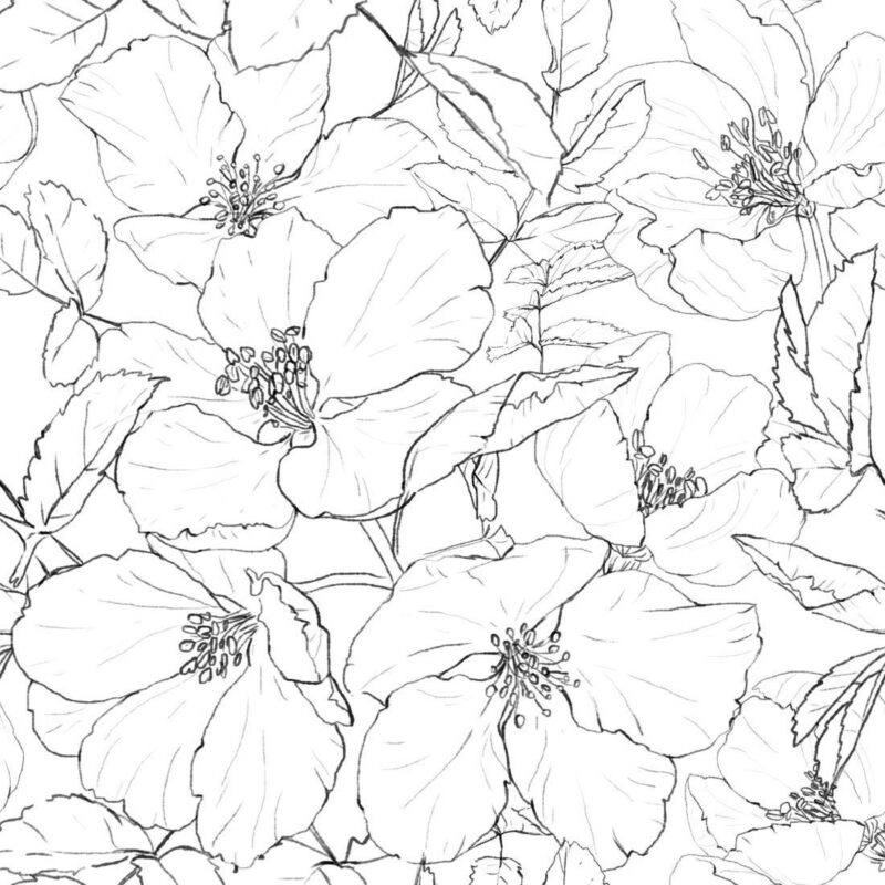 Papier peint Fleurs noir et blanc – Image 2