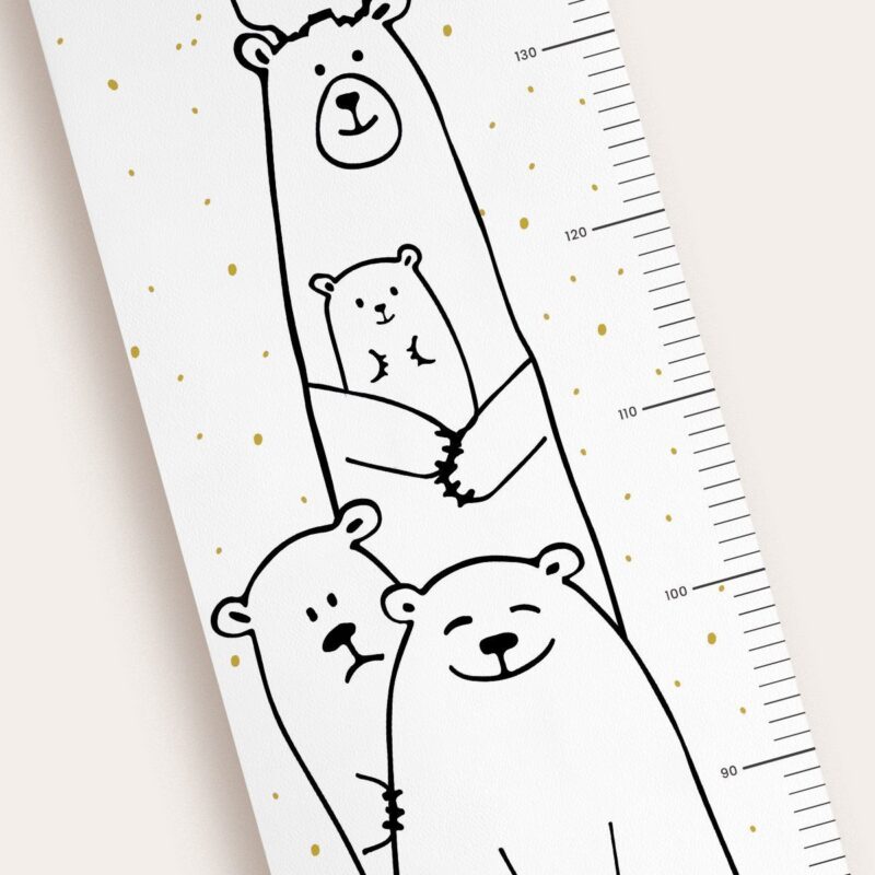 Toise ours scandinave – Image 2