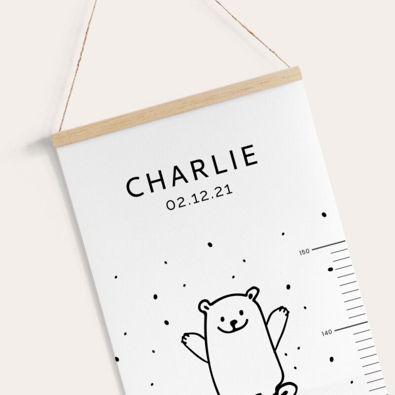 Toise ours scandinave – Image 5