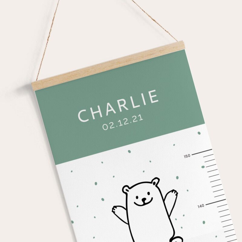 Toise ours scandinave – Image 6